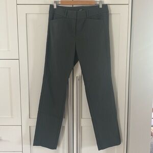 Loft Julie Women’s Pants